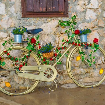 Punta Blue & Orange 5 M From The Sea Punta Križa